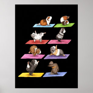 Funny Guinee Pig Yoga Poster