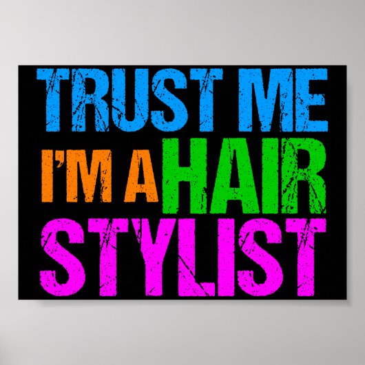 Funny Hair Stylist Poster (Voorkant)