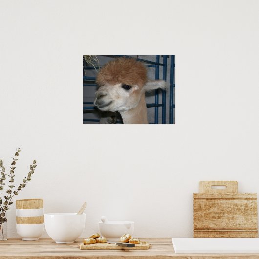 Funny Hairdo op Llama Poster (Keuken)