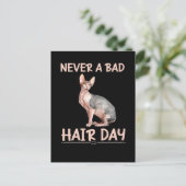 Funny Hairless Cat Sphynx Hair Humor Briefkaart (Staand voorkant)