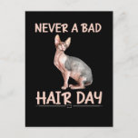 Funny Hairless Cat Sphynx Hair Humor Briefkaart<br><div class="desc">Funny Hairless Cat Sphynx Hair Humor.</div>