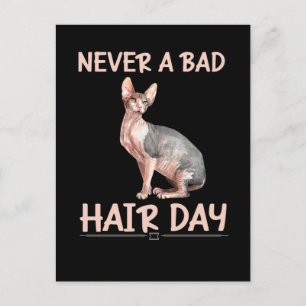 Funny Hairless Cat Sphynx Hair Humor Briefkaart