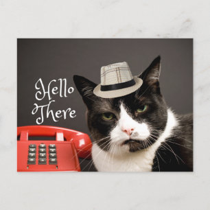 Funny Hallo daar Angry Black & White Cat Briefkaart