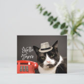 Funny Hallo daar Angry Black & White Cat Briefkaart (Staand voorkant)