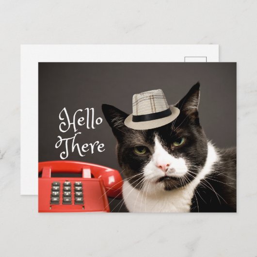 Funny Hallo daar Angry Black & White Cat Briefkaart (Voorkant / Achterkant)