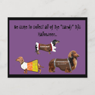 Funny Halloween Collect Snoep Dogs Briefkaart