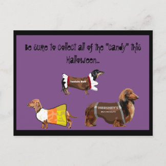 Funny Halloween Collect Snoep Dogs Briefkaart