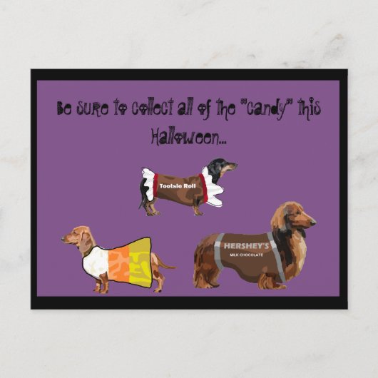 Funny Halloween Collect Snoep Dogs Briefkaart (Voorkant)
