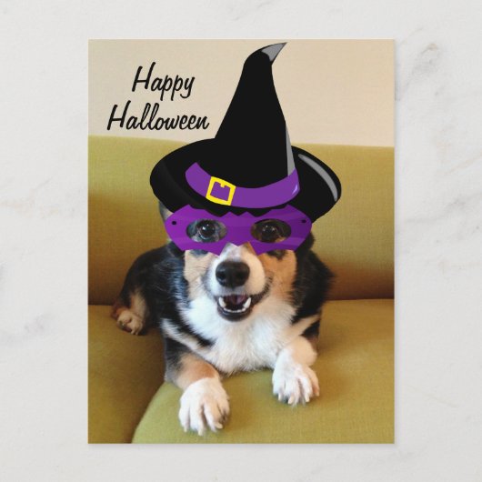 Funny Halloween Corgi in Costume Briefkaart (Voorkant)