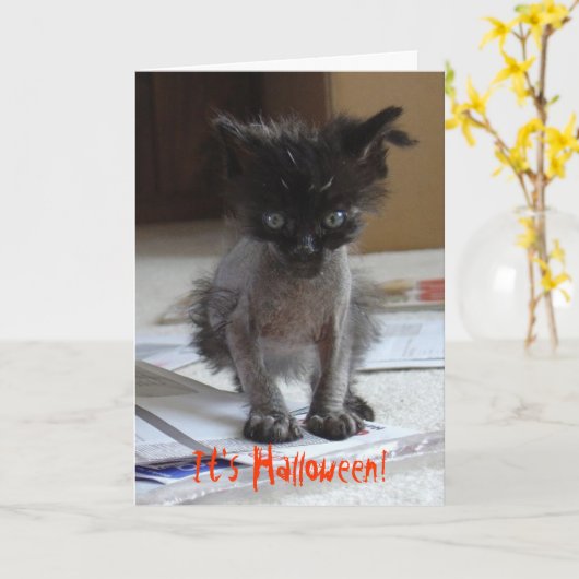 Funny Halloween Zombie Kat Card Kaart (Gele Bloem)