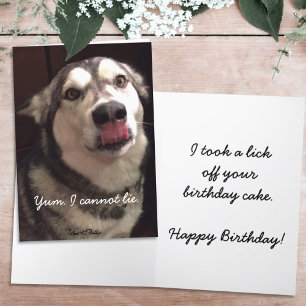 Funny Happy Birthday Alaskan Malamute Dog Kaart