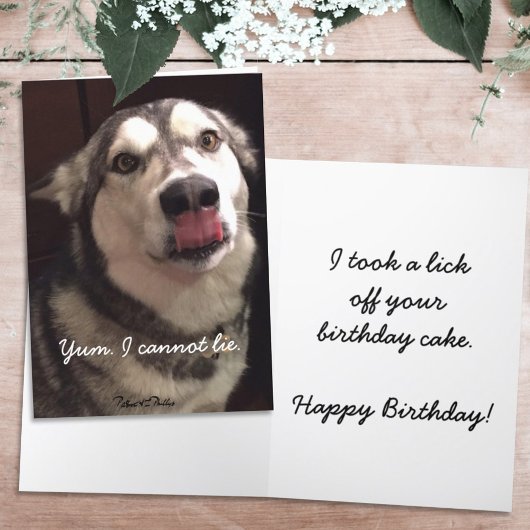 Funny Happy Birthday Alaskan Malamute Dog Kaart