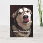 Funny Happy Birthday Alaskan Malamute Dog Kaart (Voorkant)