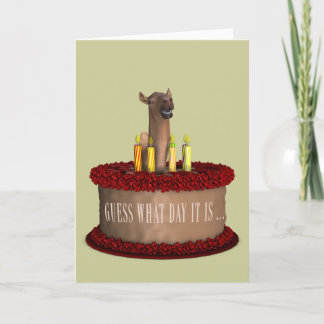 Funny Happy Birthday Camel Kaart