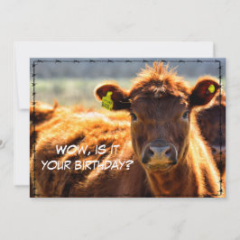 Funny Happy Birthday Country Mail Tales uit Boerde Feestdagenkaart