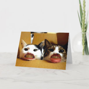 Funny Happy Birthday Kaart