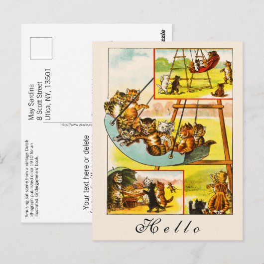 Funny Happy Cats Kittens Hallo Speeltuin Briefkaart (Voorkant / Achterkant)