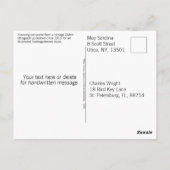 Funny Happy  Cats Kittens Hallo Speeltuin Briefkaart (Achterkant)