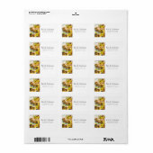 Funny Happy Cats Kittens Speeltuin Swing Etiket (Full Sheet)