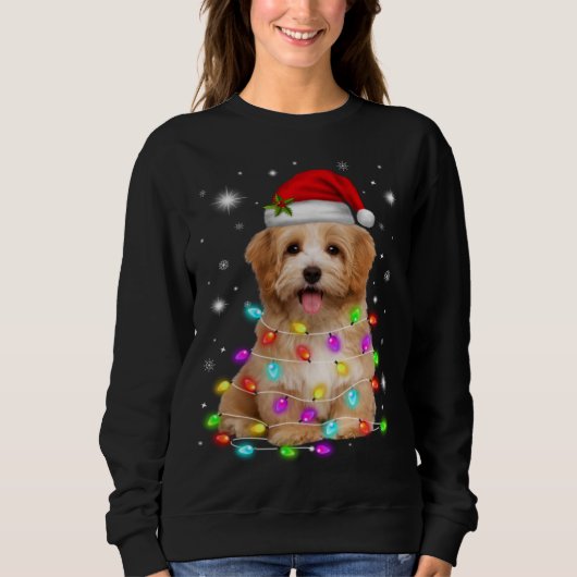 Funny Havanese Dog Santa Hat kerstlamliefhebber Trui (Voorkant)