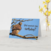 Funny Hawk Natuur Foto Birthday Kaart (Gele Bloem)