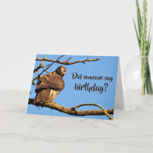 Funny Hawk Natuur Foto Birthday Kaart