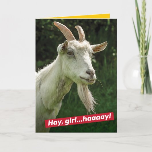 Funny Hey Girl, Hey Ryan Gosling Goat Spoof Kaart (Voorkant)