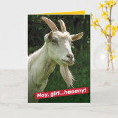 Funny Hey Girl, Hey Ryan Gosling Goat Spoof Kaart (Gele Bloem)