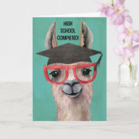 Funny High School Afstuderen