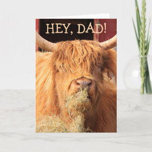 Funny Highland Cattle Vaderdag Feestdagen Kaart