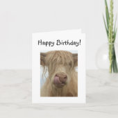 Funny Highland Koe Birthday Kaart (Voorkant)