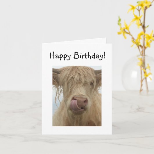 Funny Highland Koe Birthday Kaart (Gele Bloem)