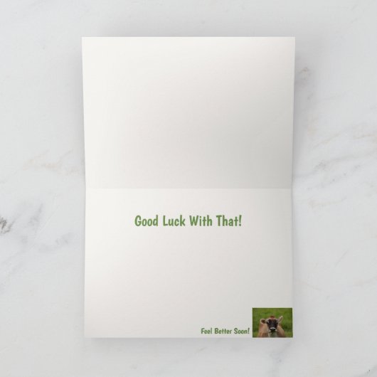 Funny Highland Steer krijgt het goed Kaart (Binnen)