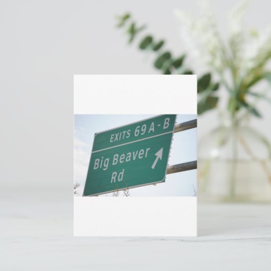 Funny HIghway Sign Big Beaver Road Exit 69 Briefkaart (Staand voorkant)