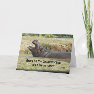 Funny Hippopotamus Birthday Greeting Kaart