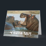 Funny Hippopotamus Hippo Happy 18th Birthday Kaart<br><div class="desc">Dit ontwerp bevat een grappig afbeelding van een groep Hippopotami! Ideaal voor speciale gelegenheden zoals verjaardagen,  verjaardagen en meer. Als u het ontwerp wilt personaliseren door het bericht,  de leeftijd of het lettertype te wijzigen,  klikt u op "Ontwerp bewerken".</div>