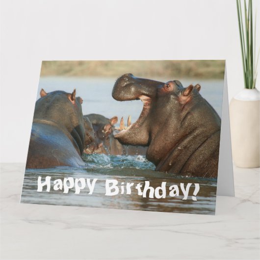 Funny Hippopotamus Hippo Happy Birthday Kaart (Voorkant)