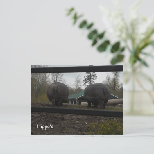 Funny Hippopotamuses die weg lopen Briefkaart (Staand voorkant)
