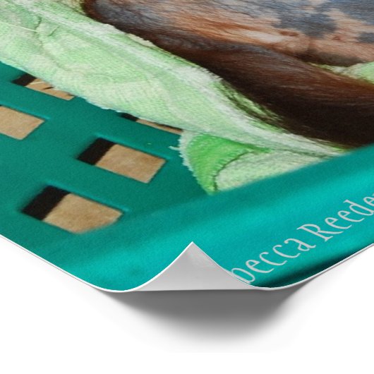 Funny Homework met Baby Orangutan Poster (Hoek)