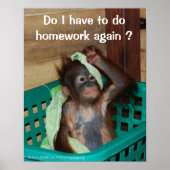 Funny Homework met Baby Orangutan Poster (Voorkant)