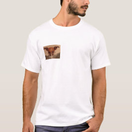 Funny honden T-shirt, cadeau voor leuke huisdier l T-shirt