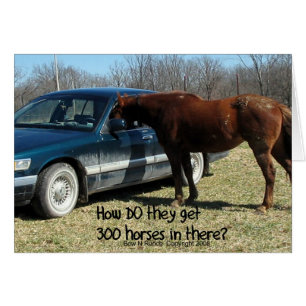 Funny Horse "300 Paarden"