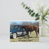 Funny Horse "300 Paarden" Briefkaart (Staand voorkant)