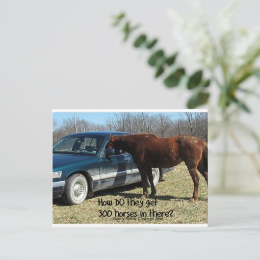 Funny Horse "300 Paarden" Briefkaart (Staand voorkant)