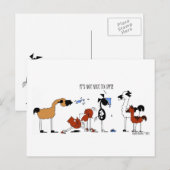 Funny Horse and Llama Cartoon Briefkaart (Voorkant / Achterkant)