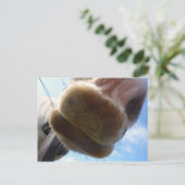 Funny Horse Briefkaart (Staand voorkant)