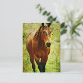 Funny Horse Briefkaart (Staand voorkant)