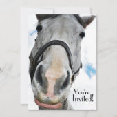 Funny Horse Face for Party of Equestrian Event Kaart (Voorkant)
