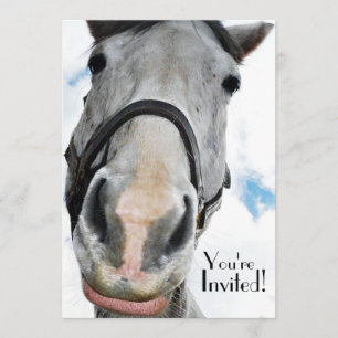Funny Horse Face for Party of Equestrian Event Kaart