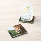 Funny Horse Face met gekrulde lips, Crazy Eye Bier Onderzetter (Rechterzijde)